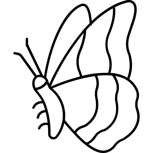 Herz icon